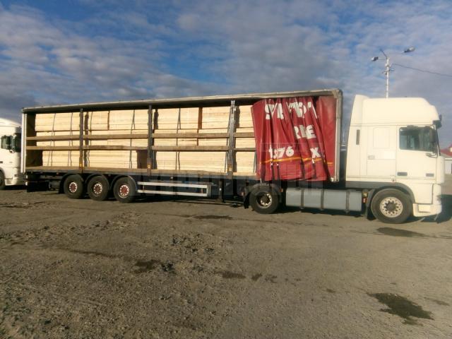 Transporturile ilegale de masă lemnoasă confiscate de Garda Forestieră Suceava