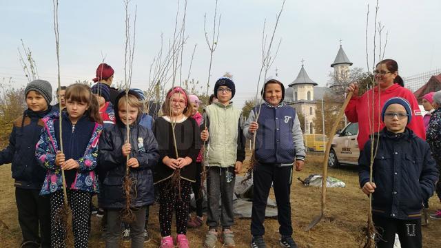 000 de puieți de arbuști decorativi, plantați la școlile din Preutești, de elevi și oameni din comunitate