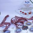 Premii și medalii pentru USV, la unul dintre cele mai mari saloane de inventică din Europa
