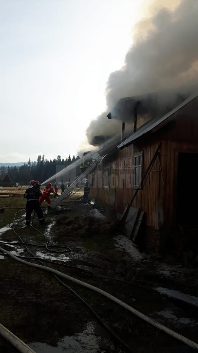 Incendiu cu pagube mari în comuna Panaci