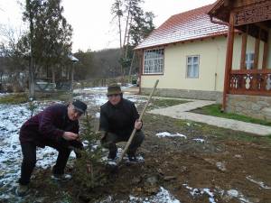Petrea Dulgheru a plantat bradul împreună cu omologul sau veterinar din Maramureş