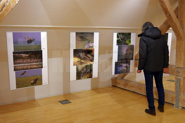 120 de lucrări, din care 48 premiate, au fost expuse pe simezele muzeului sucevean