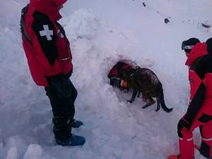 Exercițiu de recuperare a unei  persoane prinsă de avalanşă