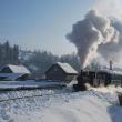 Locomotivele vor șuiera a plecare de doua ori pe zi, la orele 10.00 și 14.00, din Gara CFR Moldovița