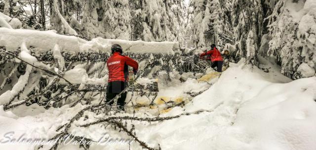 Zeci de arbori înlăturaţi de salvamontiştii dorneni pentru a redeschide traseul spre cabana şi vârful Giumalău