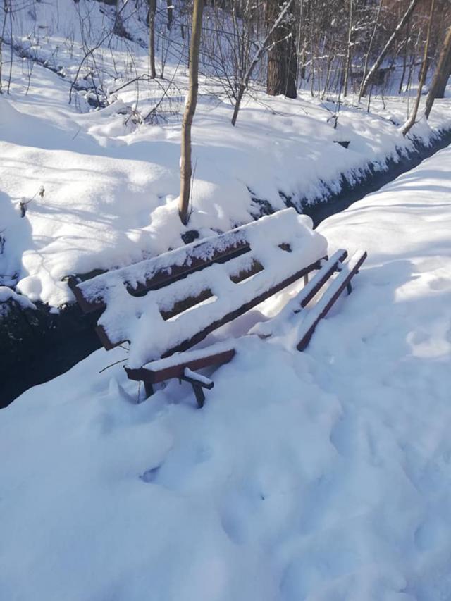 Coşurile de gunoi şi băncile din Parcul Şipote, distruse de vandali Foto: Lăcrămiaora Georgeta