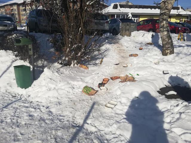 Coşurile de gunoi şi băncile din Parcul Şipote, distruse de vandali Foto: Lăcrămiaora Georgeta