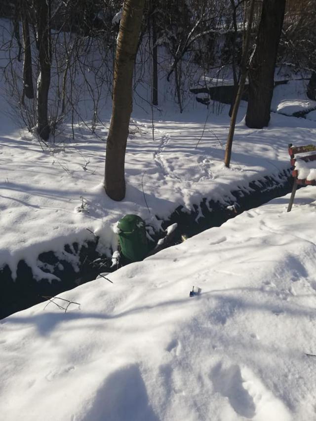 Coşurile de gunoi şi băncile din Parcul Şipote, distruse de vandali Foto: Lăcrămiaora Georgeta