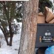 Au apărut hoţii de deşeuri reciclabile din tomberoanele firmelor de salubrizare