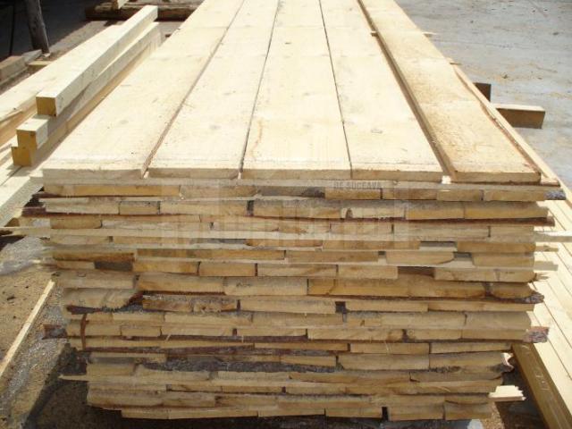 Peste 200 de amenzi aplicate într-o săptămână de controale în domeniul lemnului