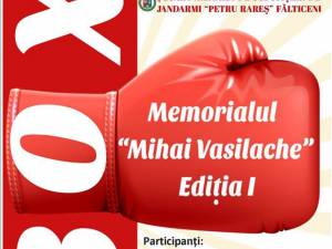 Memorialul “Mihai Vasilache" la box va avea loc sâmbătă, la Fălticeni