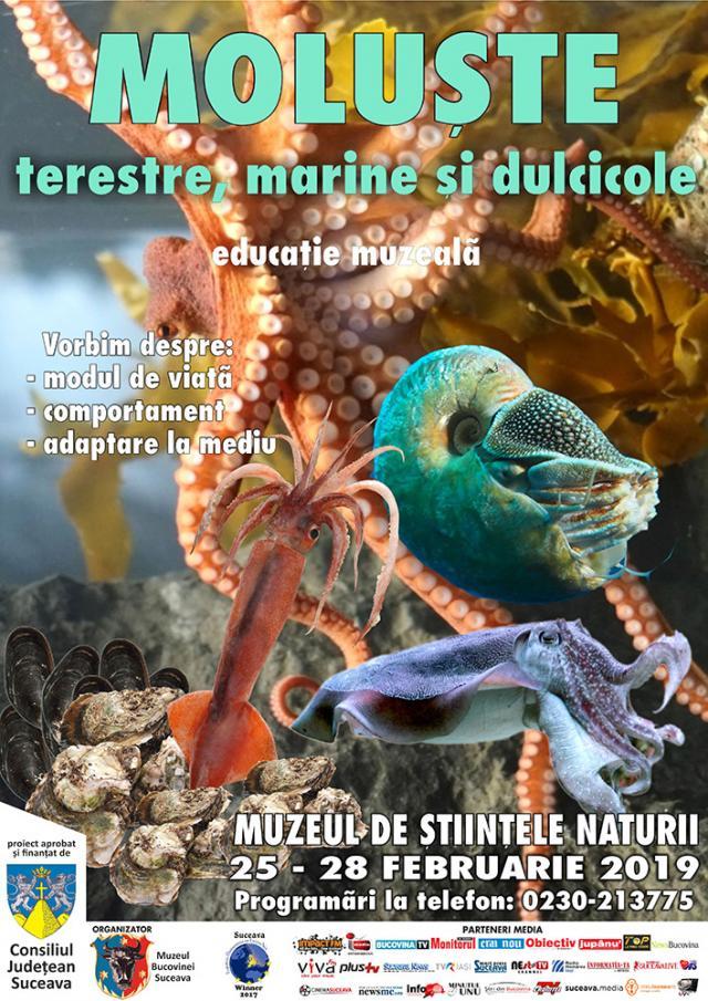 Moluște marine, terestre și dulcicole, de luni, la Muzeul de Științele Naturii