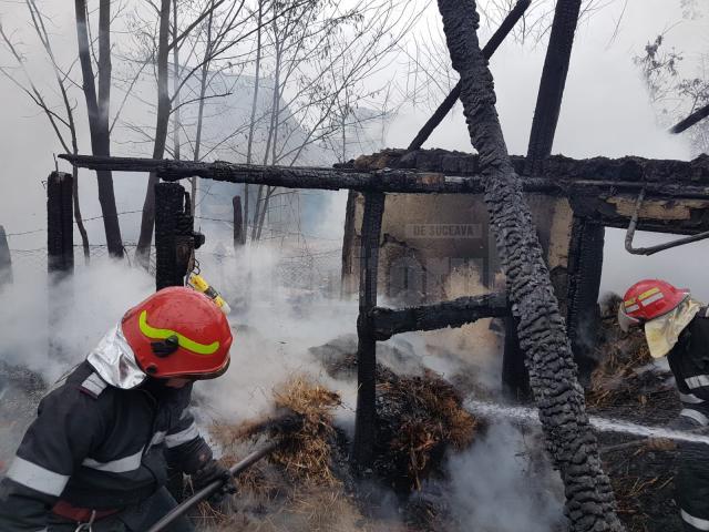 Bucataria de vara a familiei a fost distrusa in timpul incendiului