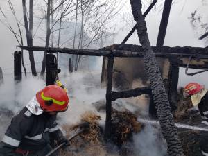 În incendiul de la Corocăiești a fost distrusă bucătăria de vară a familiei și adapostul de animale, un cal și doi câini pierind în flăcari