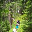 Sucevenii, invitaţi să participe la Concursul Internaţional „Tineri în pădurile Europei”