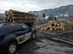 Sancțiuni de 343.000 de lei aplicate de Garda Forestieră Suceava după verificarea respectării regimului silvic