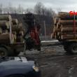 Sancțiuni de 343.000 de lei aplicate de Garda Forestieră Suceava după verificarea respectării regimului silvic