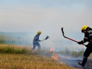 Amenzi pentru cei care au provocat incendii de vegetație uscată