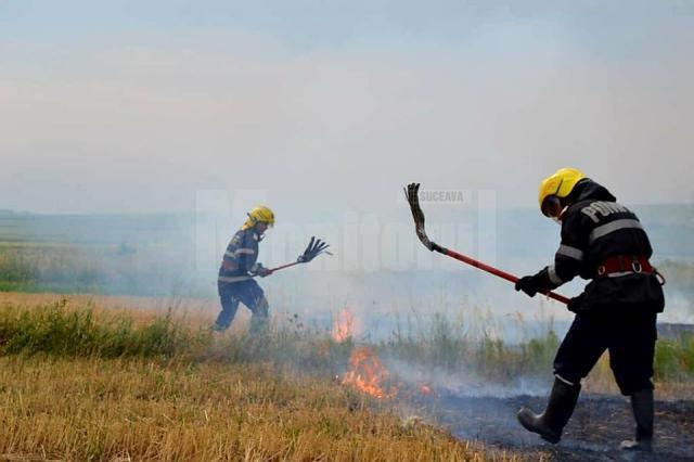 Amenzi pentru cei care au provocat incendii de vegetație uscată