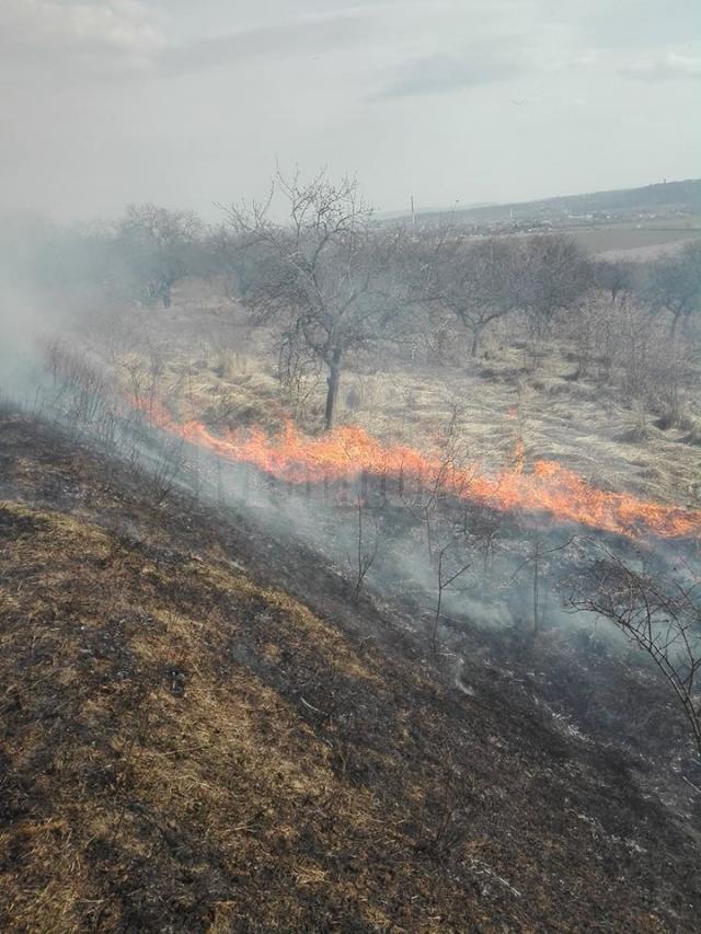 Incendiile de vegetație, o mare problemă în aceste zile