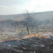 Zeci de incendii de vegetaţie uscată, în câteva zile