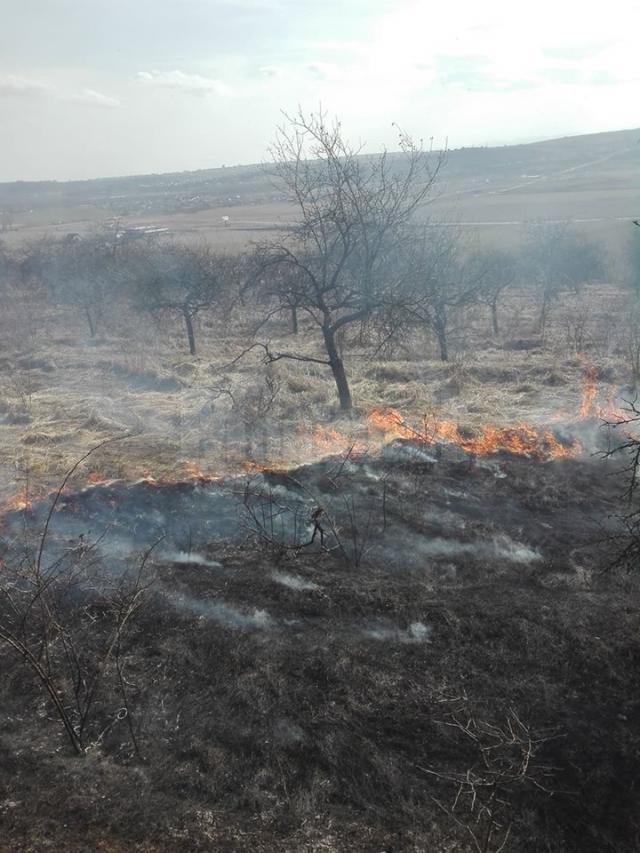 Zeci de incendii de vegetaţie uscată, în câteva zile