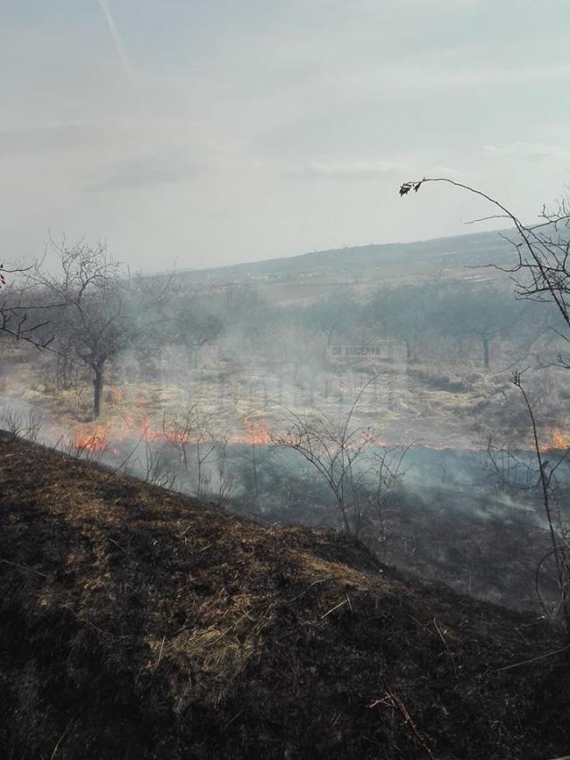 Zeci de incendii de vegetaţie uscată, în câteva zile