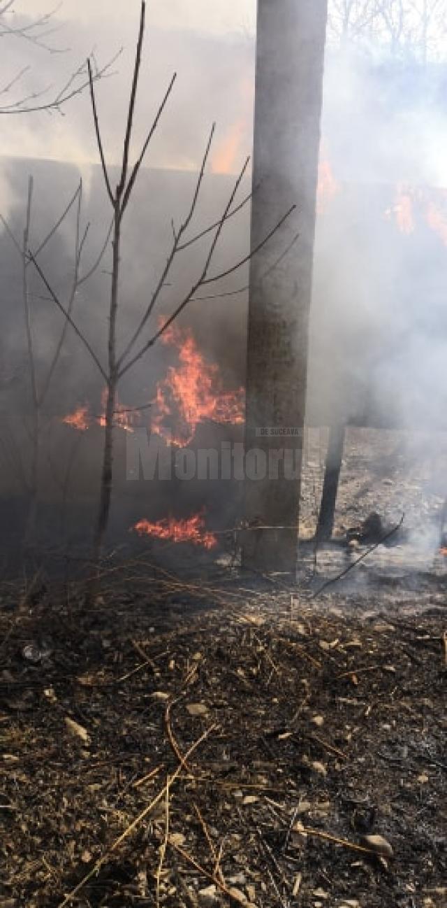 Zeci de incendii de vegetaţie uscată, în câteva zile