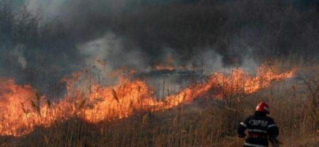 Două incendii de vegetaţie s-au extins pe aproape 25 de hectare, punând în pericol pădurea