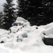 Primăria Izvoarele Sucevei, amendată de Garda de Mediu pentru muntele de gunoaie care a stat neridicat jumătate de an