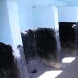 Elevii bat obrazul autorităților și cer toalete decente în toate școlile din județ