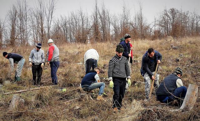 Direcţia Silvică Suceava a dat startul campaniei de împădurire a 1.670 de hectare în această primăvară