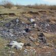 Cruci, wc-uri și deșeuri din construcții, aruncate pe malul Siretului