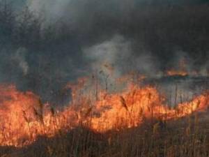 11 incendii de vegetaţie uscată în judeţ, în acest debut de săptămână