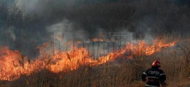 11 incendii de vegetaţie uscată în judeţ, în acest debut de săptămână