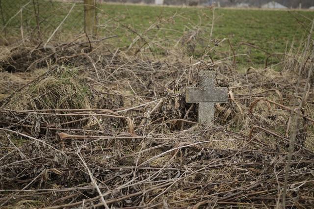 După iarnă au ieşit la iveală noi cruci, la marginea cimitirului din Siret. Foto: Ema Motrescu