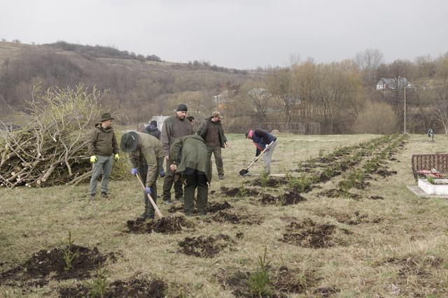 Silvicultorii au plantat câte un molid pentru fiecare zece copii care au murit în fostul orfelinat