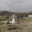 Cimitirul Copiilor a fost salubrizat de silvicultorii voluntari
