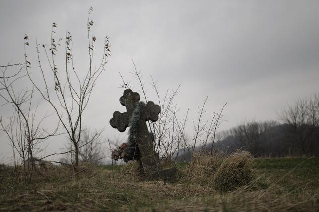 300 de molizi au fost plantaţi în cimitirul din Siret, în memoria copiilor care au murit în fostul „Orfelinat al groazei”. Foto: Ema MOTRESCU