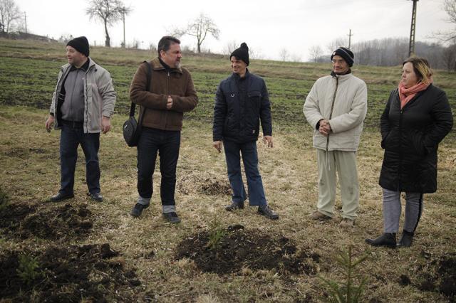 300 de molizi au fost plantaţi în cimitirul din Siret, în memoria copiilor care au murit în fostul „Orfelinat al groazei”. Foto: Ema MOTRESCU