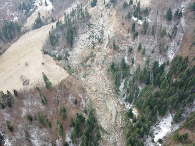Alunecare de teren masivă în fondul forestier, în comuna Frumosu