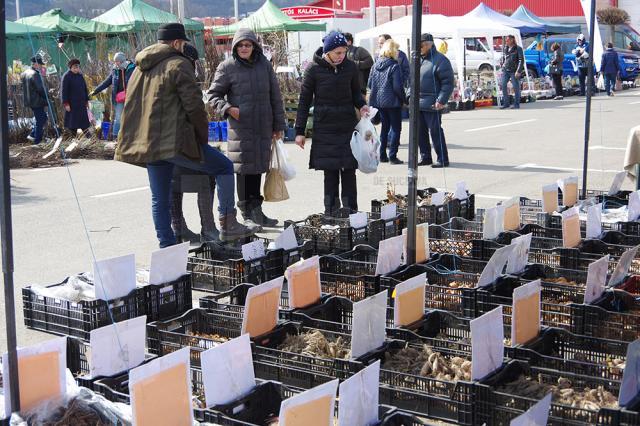 Peste 60 de firme au participat la Agro Expo Bucovina