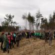 Elevii Școlii Gimnaziale Nr. 4 Suceava au plantat 1.000 de puieți la Todirești