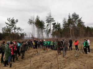 Elevii Școlii Gimnaziale Nr. 4 Suceava au plantat 1.000 de puieți la Todirești