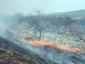 Incendierile de vegetaţie pot duce la incendii de mari proporţii, cu pagube mari, şi chiar la tragedii