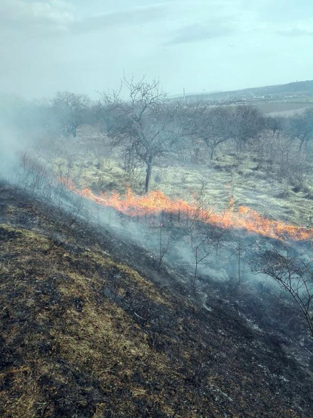 Incendierile de vegetaţie pot duce la incendii de mari proporţii, cu pagube mari, şi chiar la tragedii