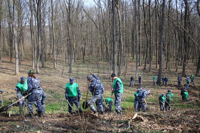 2.300 de stejari, paltini, frasini şi cireşi, plantaţi la Dolhasca cu peste 150 de voluntari