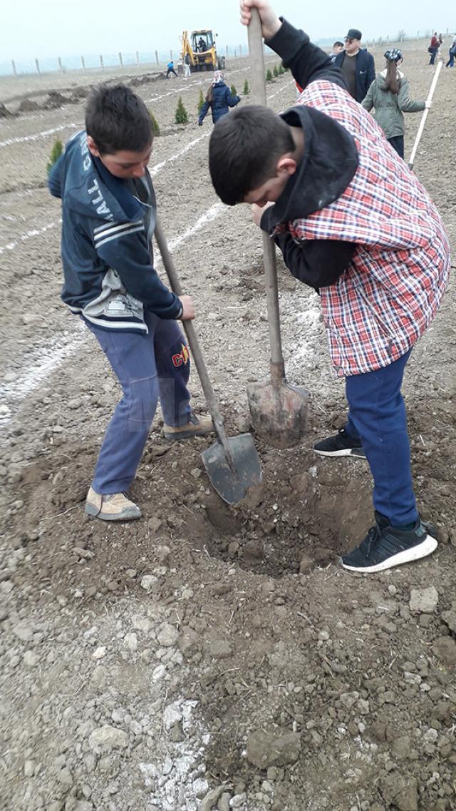 Puieţi plantaţi de elevii de la Prelipca pentru înfiinţarea unui parc dendrologic în lunca râului Suceava