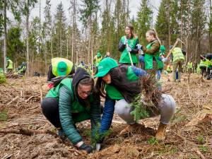 „Pădurea de mâine” a mai crescut cu 6160 de puieți de arbori, cu ajutorul voluntarilor