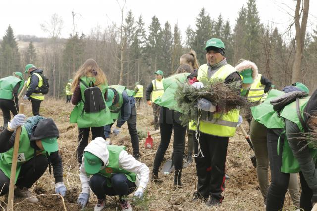 „Pădurea de mâine” a mai crescut cu 6160 de puieți de arbori, cu ajutorul voluntarilor - foto Ema Motrescu